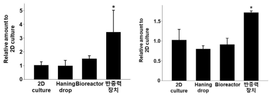 qRT-PCR을 이용한 인자 발현량 비교 (좌 : VEGF, 우 : PCNA)