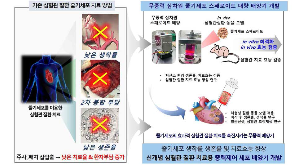 기존 심혈관 질환 치료용 줄기세포 전달법의 한계 및 본 연구를 통한 개선 가능성