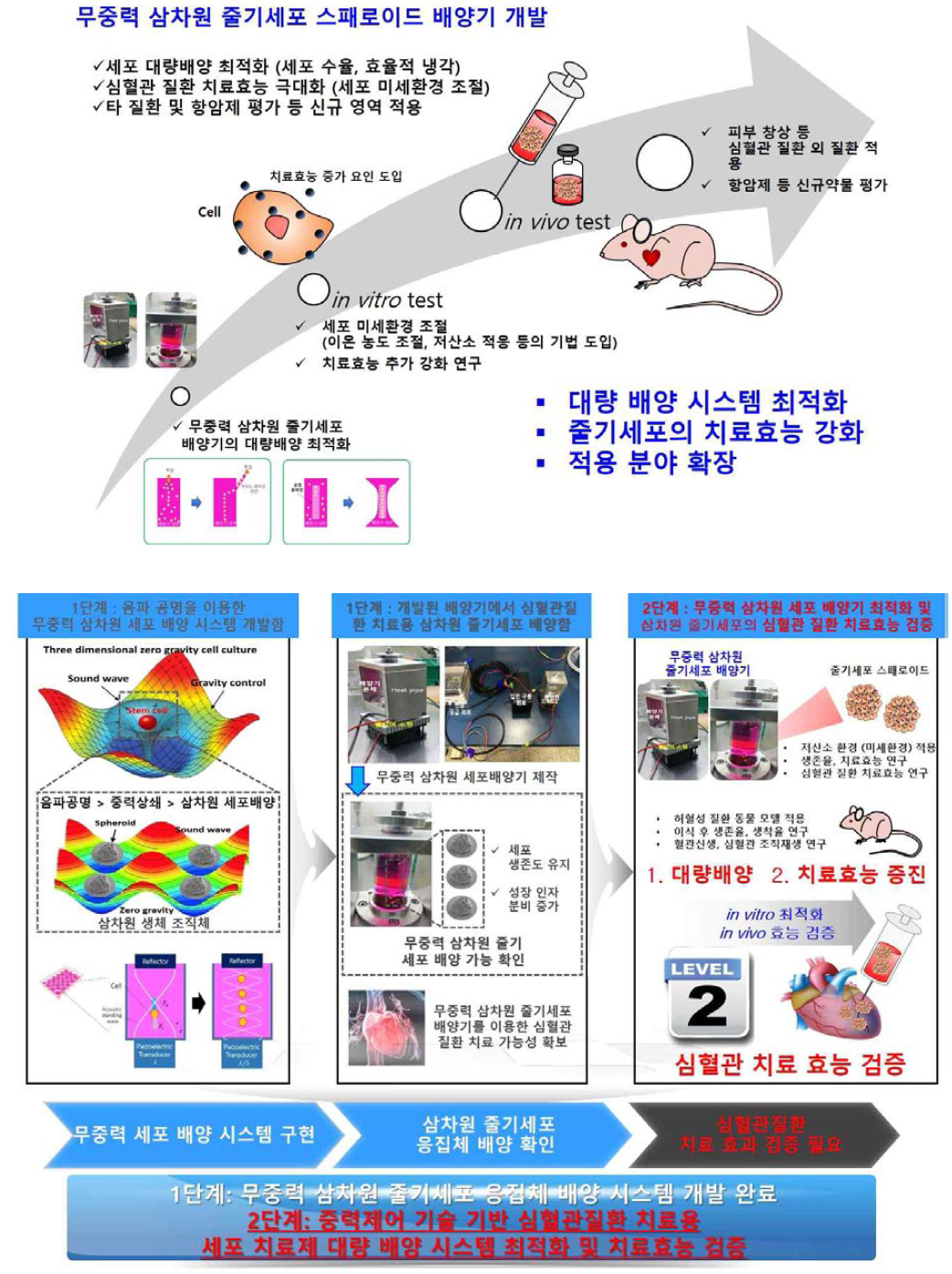 2차년도 연구 최종 목표 및 연구개요