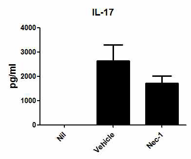 RIP1K inhibitor 처리에 의한 IL-17의 발현 감소 효과 관찰
