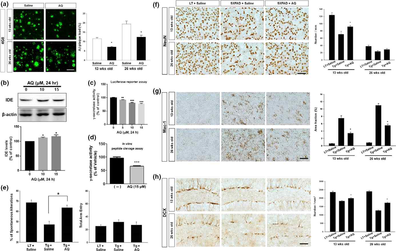 5XFAD 마우스에서 Nurr1의 작용제 AQ의 처리는 Aβ-매개된 병리학을 억제하고 인지기능을 향상시킴
