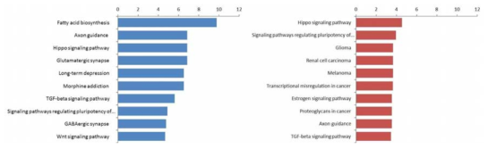 우울증에서 증가 (좌측 그림) 혹은 감소 (우측 그림)한 상위 20개 exosomal miRNA의 target 유전자의 pathway 분석