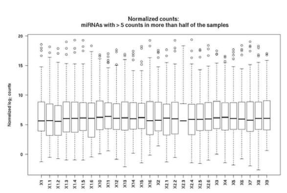 시료별 expression count의 normalization