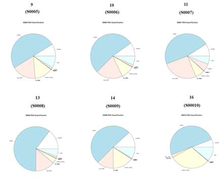 Exosomal small RNA의 서열에 기반한 기능적 category (파란색: miRNA, 흰색; lincRNA, 노란색: protein coding RNA)