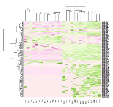 170종의 circulating exosomal miRNA에 대한 heat map