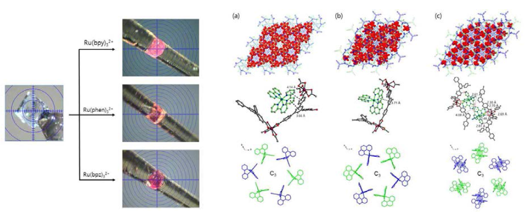Ru(II)@In-BTB의 현미경 사진과 결정구조