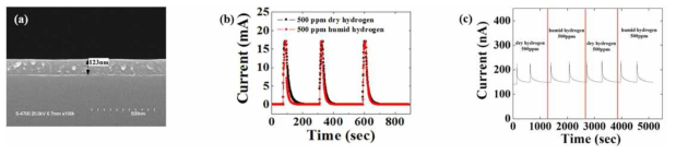 (a) PMGI 보호막이 적용된 소자의 SEM 단면 이미지, (b) 상온에서 PMMA 보호막이 적용된 센서의 건조 및 수분함유 수소 노출에 대한 전류 변화, (c) 300°C의 고온 환경에서 PMGI 보호막이 적용된 센서의 건조 및 수분함유 수소 노출에 대한 전류 변화