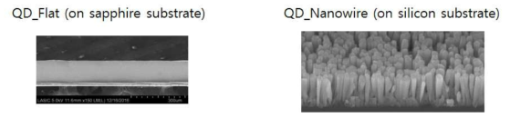 CZTS QD이 증착된 Flat GaN(좌)와 Nanowire GaN(우)의 SEM 이미지