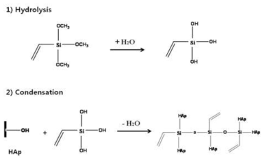 VTMS modification of HAp