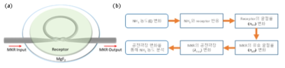 수용체를 사용한 가스 검출 (a)개략도와 (b) 측정 순서도