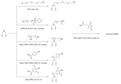 Cyclopolymer 단량체 합성 모식도