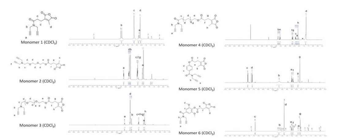 1H-NMR을 이용한 Cyclopolymer 단량체의 화학적 구조 확인