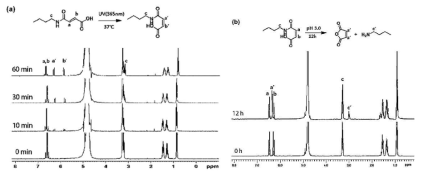 (a) 푸마르산 아미드의 빛에 의한 말레산 아미드로의 형태변환 NMR 스펙트럼, (b)말레산 아미드의 pH 응답적 분해