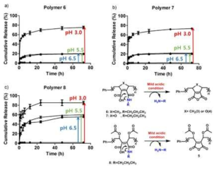 N-propylamine-grafted 말레산 아미드 유도체 고분자의 degradability 측정