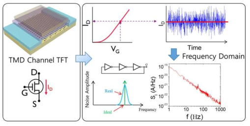전이금속 칼코겐화합물 2D 채널 트랜지스터의 저주파 잡음