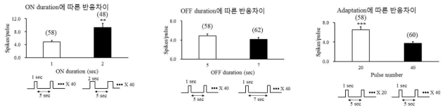 (a) 빛이 켜지는 시간을 달리했을 때 (그래프 속 괄호안 숫자 : 분석에 사용한 ON cell 의 수) (b) 빛이 꺼지는 시간을 달리했을 때 (c) 빛자극 반복 횟수를 달리했을 때