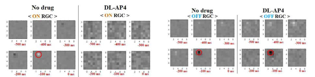 (a) 약물처리 전후 빛자극에 대한 ON 망막신경절세포의 감수야 (receptive field) 변화 (b) 약물처리 전후 빛자극에 대한 OFF 망막신경절세포의 감수야 (receptive field) 변화