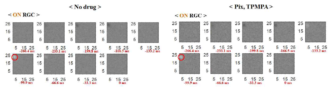 (a) 약물처리 전 빛자극에 대한 ON 망막신경절세포의 감수야 (receptive field) 변화 (b) 약물처리 후 빛자극에 대한 ON 망막신경절세포의 감수야 (receptive field) 변화