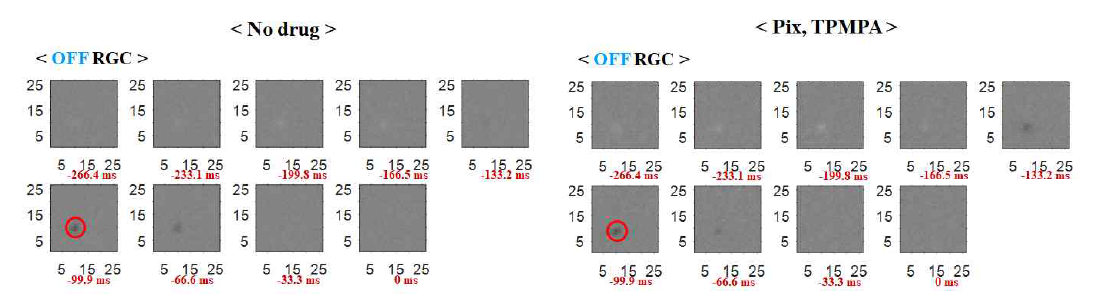 (a) 약물처리 전 빛자극에 대한 OFF 망막신경절세포의 감수야 (receptive field) 변화 (a) 약물처리 후 빛자극에 대한 OFF 망막신경절세포의 감수야 (receptive field) 변화