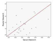 혈청 Vitamin D와 근육 내 Vitamin D의 높은 상관관계를 보여주고 있다