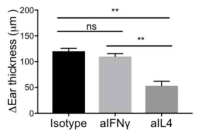 항IL-4 중화항체에 의해 oxazolone 접촉과민반응 피부염증이 유의미하게 감소함