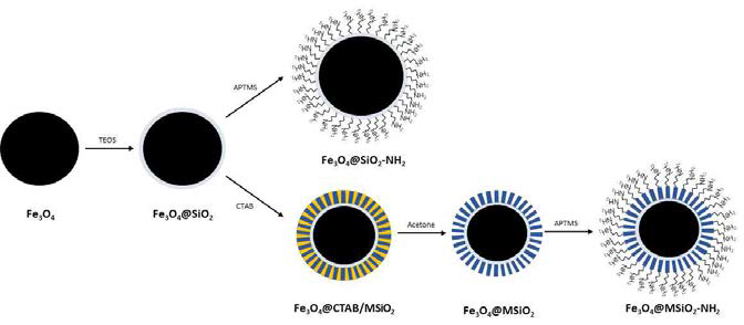 Preparation of magnetite core-shells