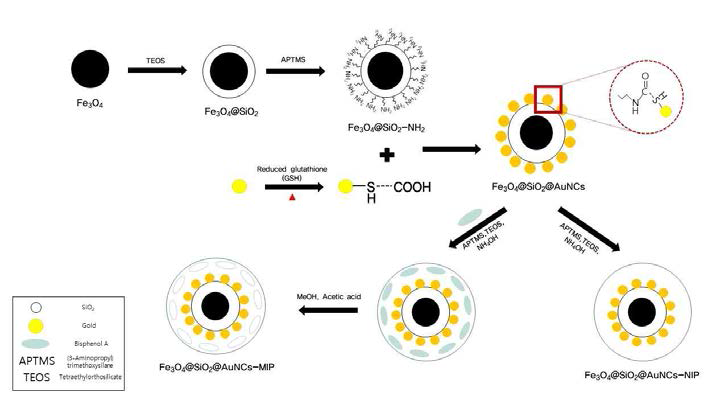 Preparation of molecular imprinted polymer core-shell