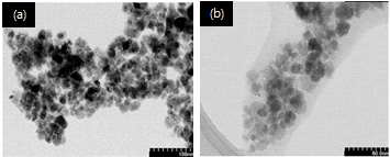 TEM images of (a) Fe3O4 and (b) magnetic core-shell