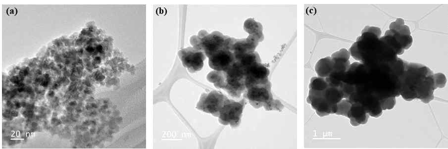 TEM images of (a) Fe3O4, (b) Fe3O4@SiO2-NH2 and (c) CS-MIP