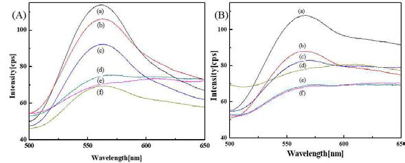 Fluorescence intensities of CS-MIP (A) and CS-NIP (B) according to bisphenol A concentrations: (a) 0 μM, (b) 1 μM, (c) 2 μM, (d) 5 μM, (e) 7 μM and (f) 10 μM