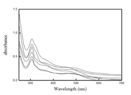 Absorption spectra of magnetic core-shell color sensor under different Hg2+ concentrations