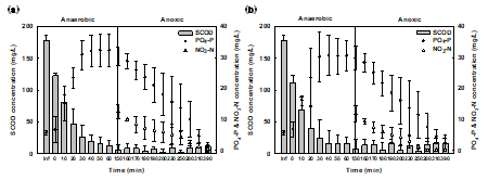 SCOD, PO4 3--P, and NO3 --N profiles of (a) granular sludge and (b) flocculent sludge