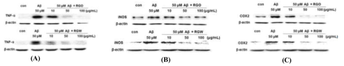 Inhibition of RGO and RGW on TNF-α, iNOS and COX-2 expression