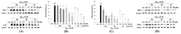 Effects of LA, BS and SS on Aβ25-35-induced (A)　TNF-α,　IL-1β,　(B)　NO, (C)　PGE2, (D)　iNOS, and COX-2 in PC12 cell