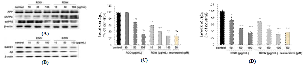 Inhibition of RGO and RGW on amyloidogenic pathway　Aβ40 and Aβ42 in N2a APPswe cells