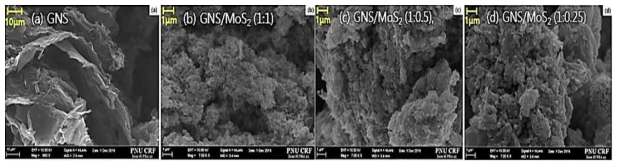 그래핀, 황이 담지된 금속칼코겐 물질/그래핀 복합체 전극의 주사전자현미경 사진