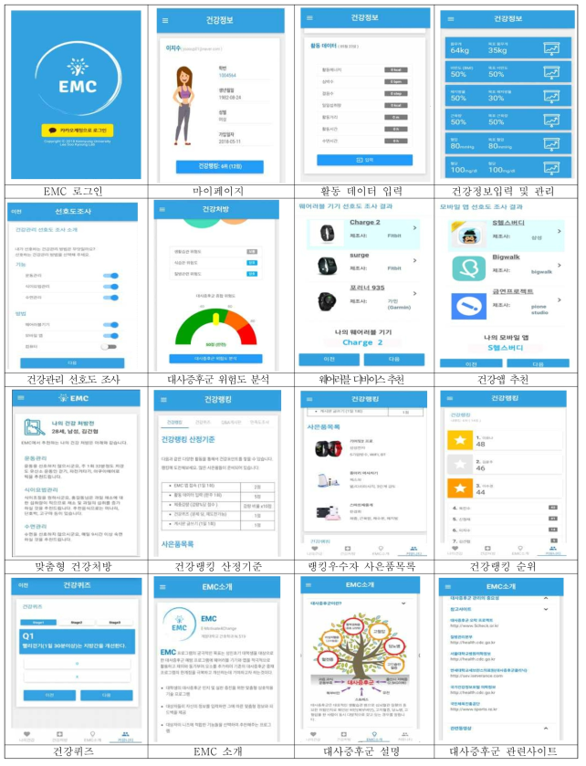 EMC 프로그램의 주요 화면