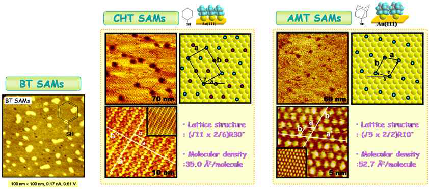 Au(111) 표면위에 형성된 BT, CHT 및 AMT SAM의 STM 이미지