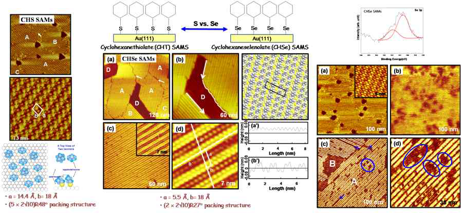 Au(111) 표면위에 형성된 CHSe SAM의 표면 나노구조 및 XPS 결과