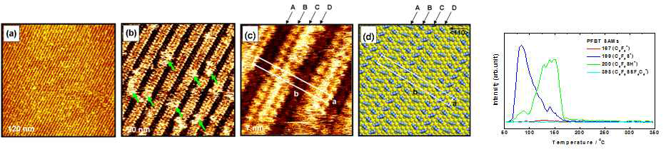 Au(111) 표면위에 형성된 매우 잘 배열된 PFBT SAM의 표면 나노구조 및 TDS 결과