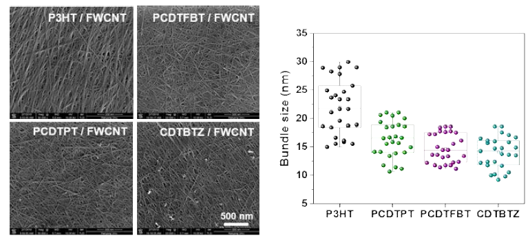 (좌측) 공액고분자/FWCNT 복합체의 SEM 이미지 및 (우측) SEM 이미지로부터 얻어진 번들 사이즈의 분포도