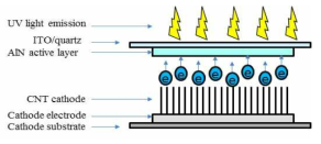 FED structure mimetic diagram of ep UV light device