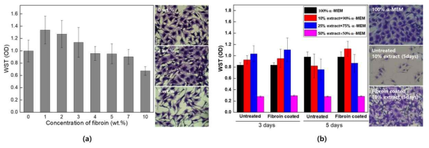 피브로인 (a)농도 및 (b)용출시험 후 WST cell proliferation assay 흡광도 및 세포 형상 분석