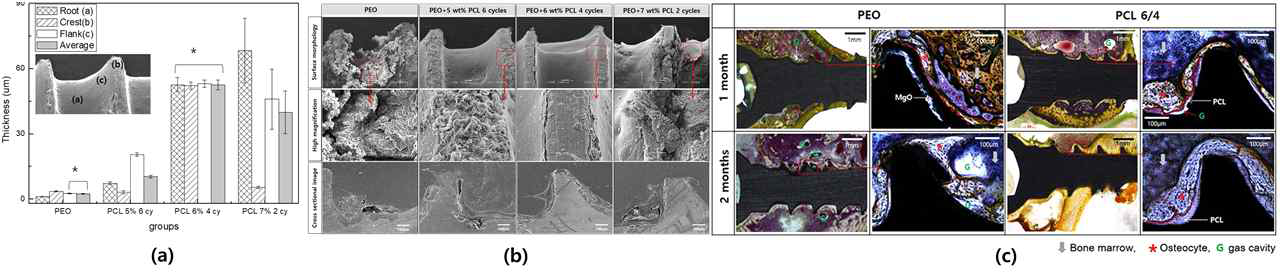 마그네슘 스크류 위의 양극산화와 PCL코팅 조건에 따른 (a)코팅 두께, (b)인공뼈 매식 침적시험 후 코팅층의 부식 형상, (c)rat에서의 매식시험 후 조직학적 분석결과
