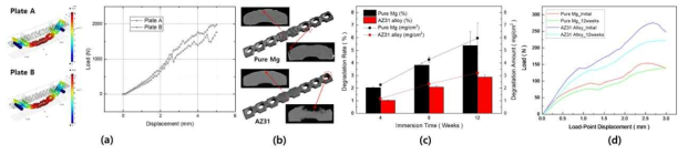 마그네슘 plate의 (a)유한요소 해석, 침적시험 후 (b)부식경향, (c)무게감소율, (d)4축 굽힘강도