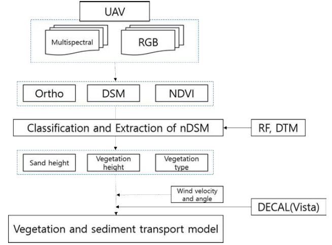 바람 식생 모형을 이용한 사구 시뮬레이션 연구흐름도