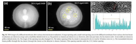 Au nanoparticle formation on the electron beam induced AU-C membrane; <Nanopore formation on Au coated pyramid under electron beam irradiations (published in Sensing and Bio-sensing research 2016)