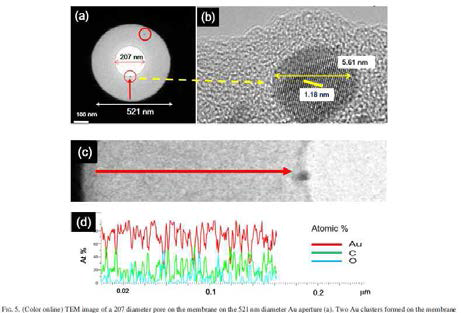 Au particle formation and C contents on the membrane