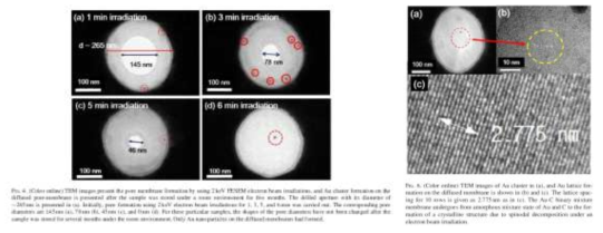 Au particle formation due to Ostwald ripening process on the diffused Au-C membrane (left ), and the Observation of Spinodal Instability during electron beam irradiation at 300 keV on the Au-C binary membrane