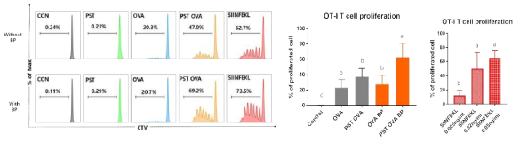 PST-OVA-BP 복합 처리 수지상세포에 의한 항원 특이적 CD8+ T cell 증식 양상 분석